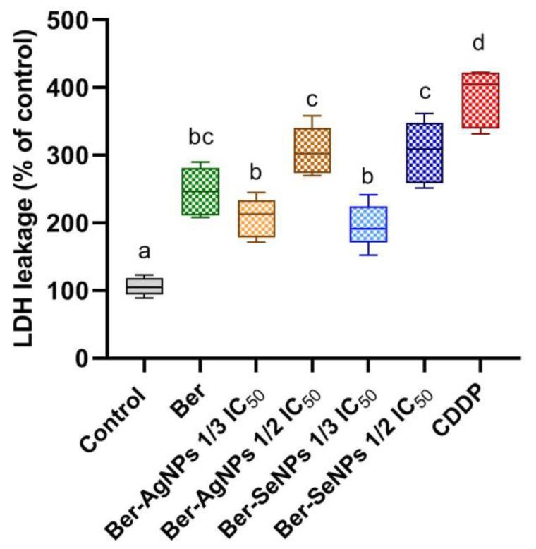 https://cdn.ncbi.nlm.nih.gov/pmc/blobs/23c6/10854975/f999a7cd07c8/cells-13-00287-g003.jpg