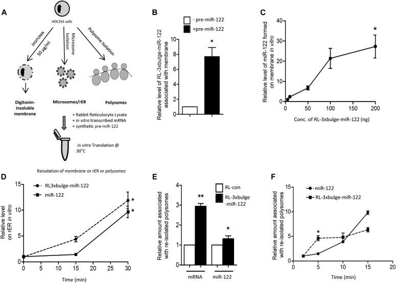 https://cdn.ncbi.nlm.nih.gov/pmc/blobs/23ef/6998040/25e915fc628c/LSA-2018-00161_Fig3.jpg