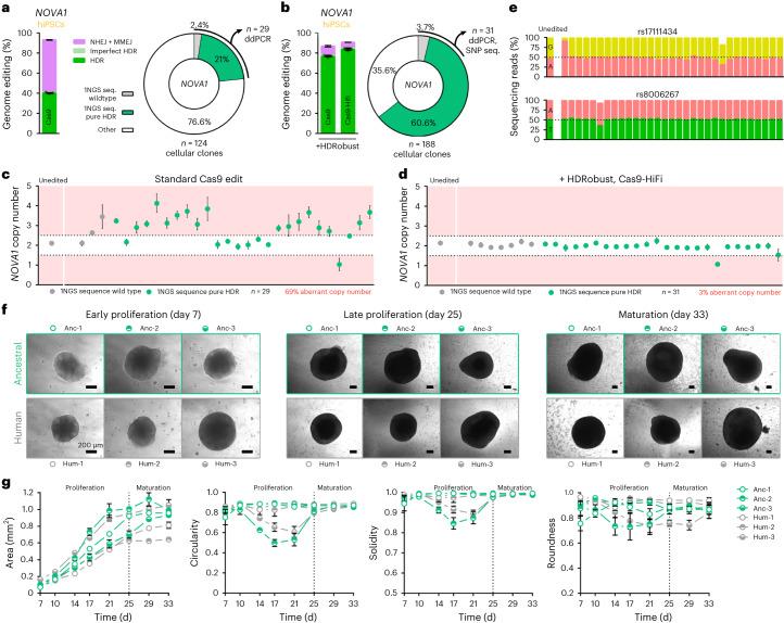 https://cdn.ncbi.nlm.nih.gov/pmc/blobs/23ff/10482697/5e48ade6b3a7/41592_2023_1949_Fig6_HTML.jpg
