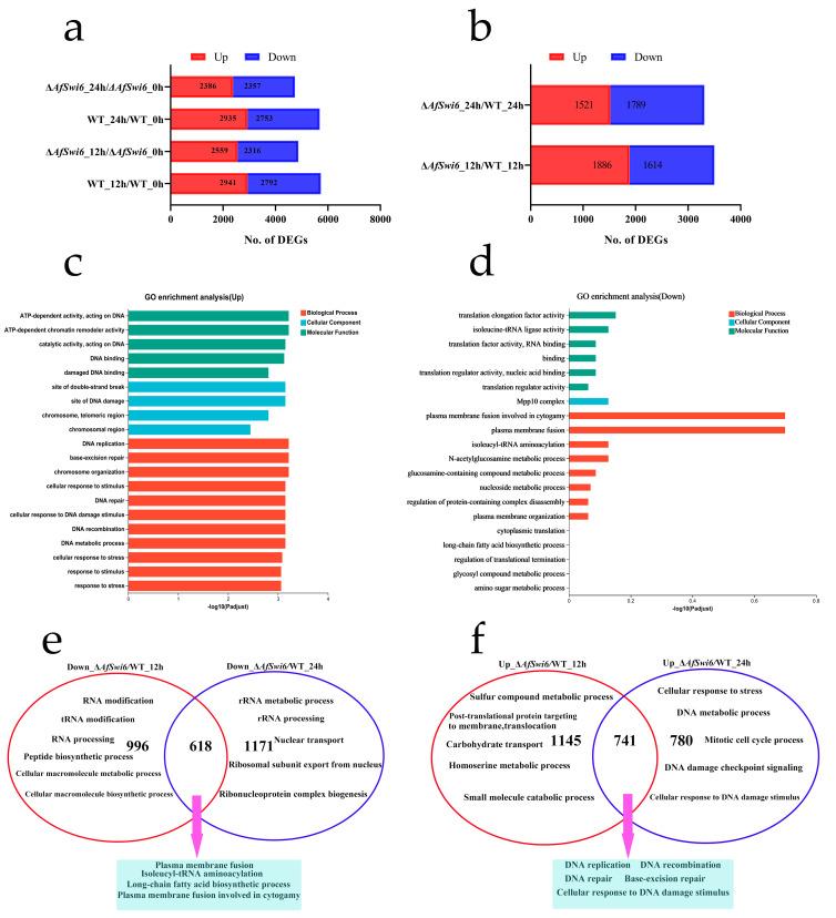 https://cdn.ncbi.nlm.nih.gov/pmc/blobs/2437/11433780/16a8f8878df5/microorganisms-12-01765-g006.jpg