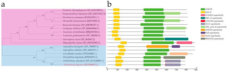 https://cdn.ncbi.nlm.nih.gov/pmc/blobs/2437/11433780/6bb6940b6aa6/microorganisms-12-01765-g001.jpg