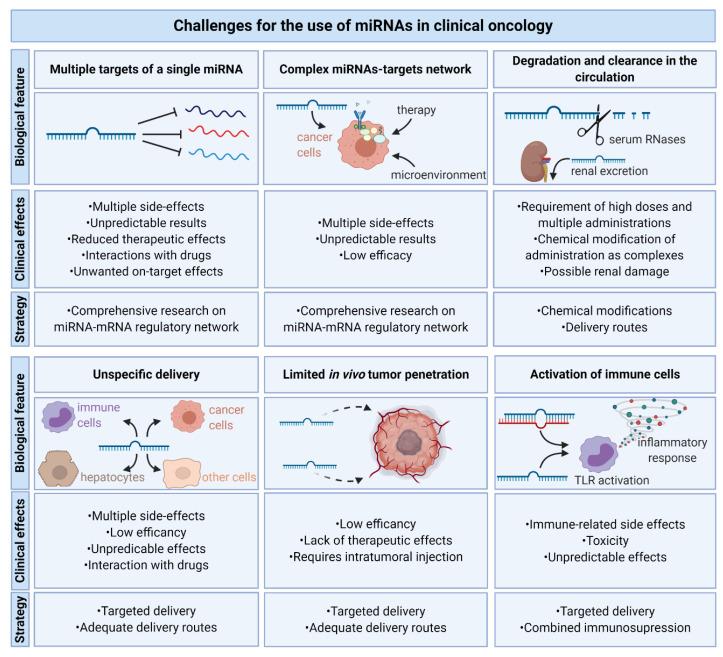 https://cdn.ncbi.nlm.nih.gov/pmc/blobs/2444/7763175/f0652a795d20/cancers-12-03709-g005.jpg
