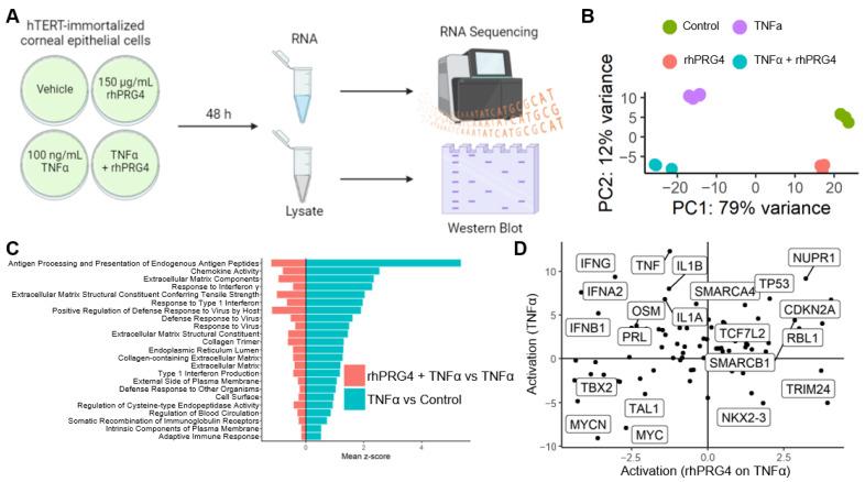 https://cdn.ncbi.nlm.nih.gov/pmc/blobs/2456/9657836/ebbbaeab9b89/ijms-23-12711-g001.jpg