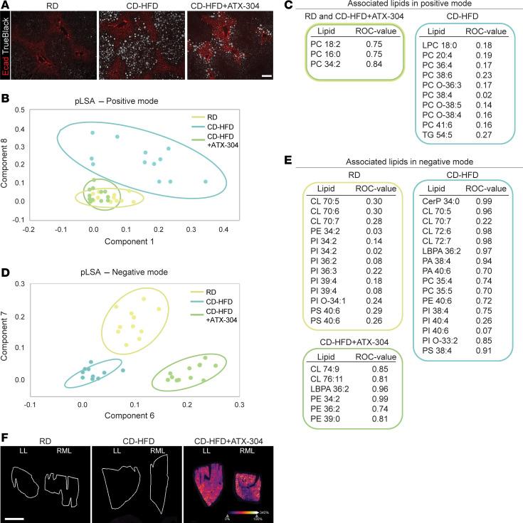 https://cdn.ncbi.nlm.nih.gov/pmc/blobs/246d/11981618/a9caa00c4add/jciinsight-10-179990-g179.jpg