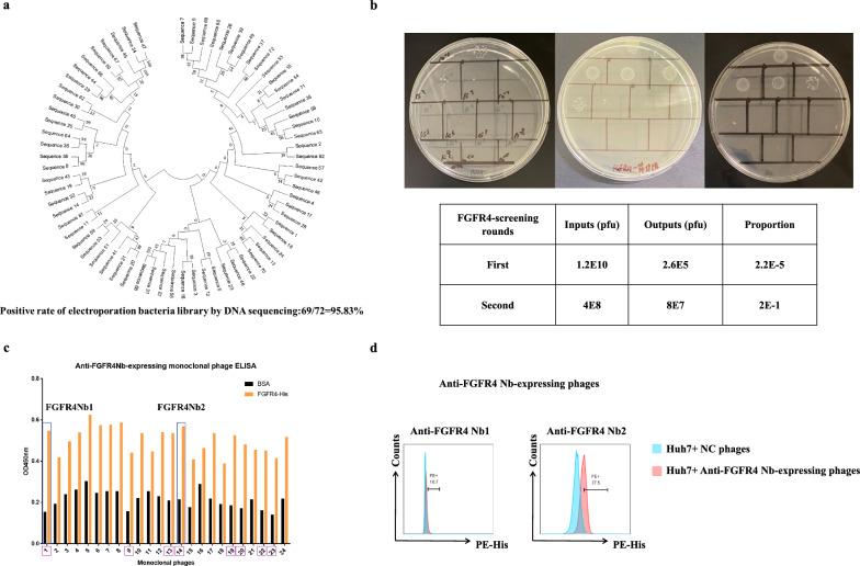 https://cdn.ncbi.nlm.nih.gov/pmc/blobs/2488/11015683/43c5e36b741a/12967_2024_5159_Fig2_HTML.jpg