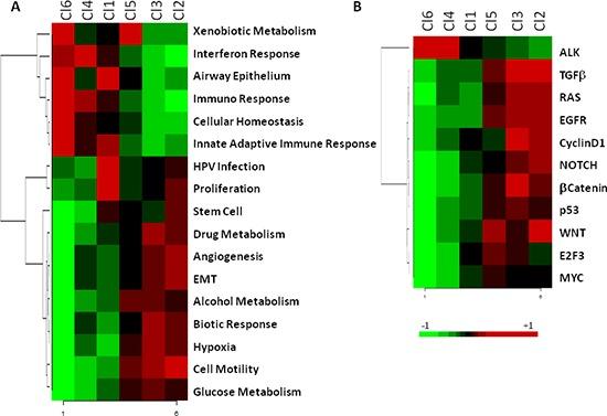 https://cdn.ncbi.nlm.nih.gov/pmc/blobs/2491/4496244/12536439ab7f/oncotarget-06-9627-g003.jpg