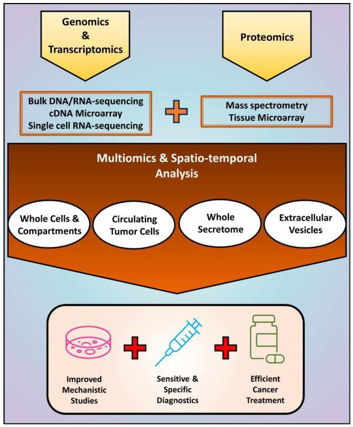https://cdn.ncbi.nlm.nih.gov/pmc/blobs/24aa/10706093/90dd3761b7ab/cells-12-02740-g004.jpg
