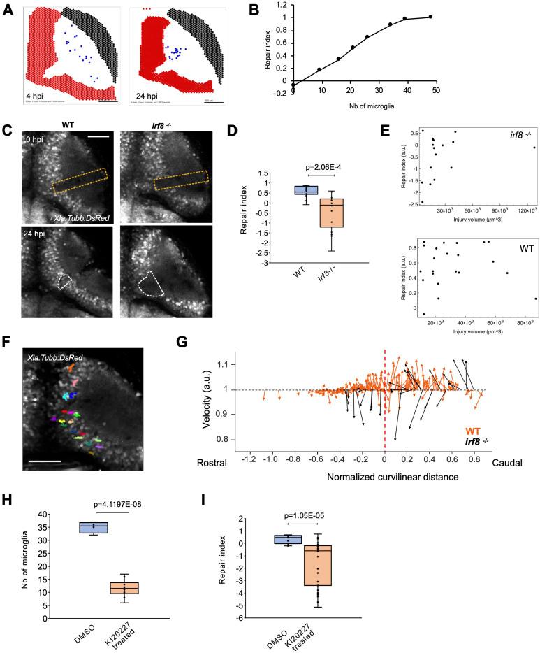 https://cdn.ncbi.nlm.nih.gov/pmc/blobs/24ac/11487088/e256860f226b/LSA-2024-03052_Fig4.jpg