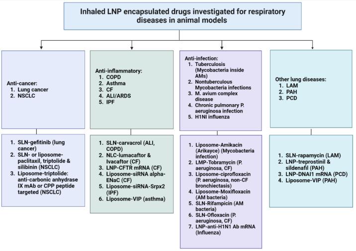 https://cdn.ncbi.nlm.nih.gov/pmc/blobs/24b0/9496059/ad6aef068501/biomedicines-10-02179-g002.jpg