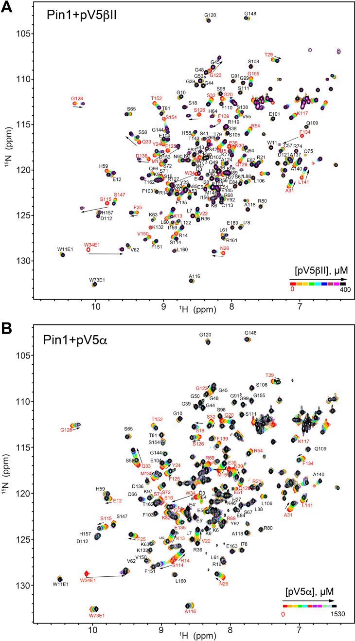 https://cdn.ncbi.nlm.nih.gov/pmc/blobs/24b2/11060717/0cd85657cc7d/elife-92884-fig4-figsupp1.jpg