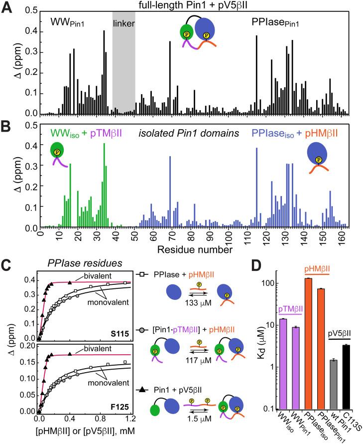 https://cdn.ncbi.nlm.nih.gov/pmc/blobs/24b2/11060717/2b06dcc1b356/elife-92884-fig4.jpg