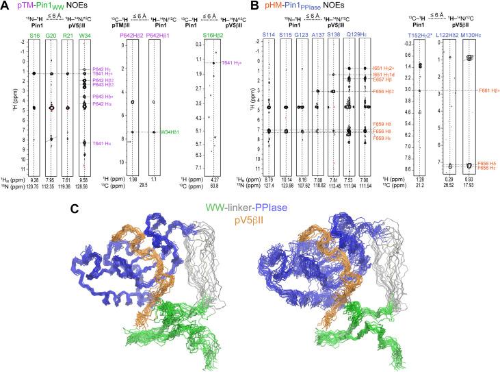 https://cdn.ncbi.nlm.nih.gov/pmc/blobs/24b2/11060717/3de706e81c63/elife-92884-fig5-figsupp2.jpg