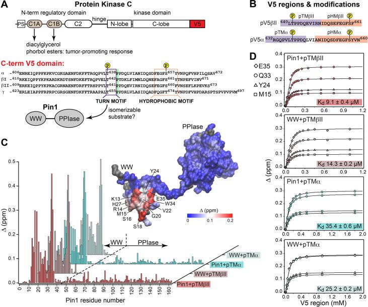 https://cdn.ncbi.nlm.nih.gov/pmc/blobs/24b2/11060717/6049327f51ff/elife-92884-fig1.jpg