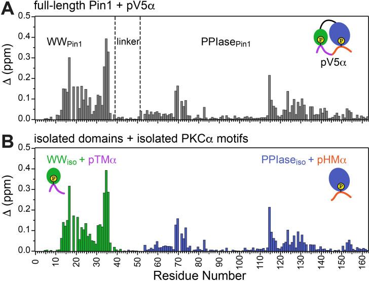 https://cdn.ncbi.nlm.nih.gov/pmc/blobs/24b2/11060717/6a6ba36ec498/elife-92884-fig4-figsupp2.jpg