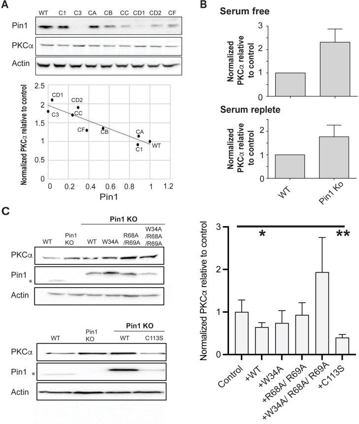 https://cdn.ncbi.nlm.nih.gov/pmc/blobs/24b2/11060717/c33545501315/elife-92884-fig7.jpg
