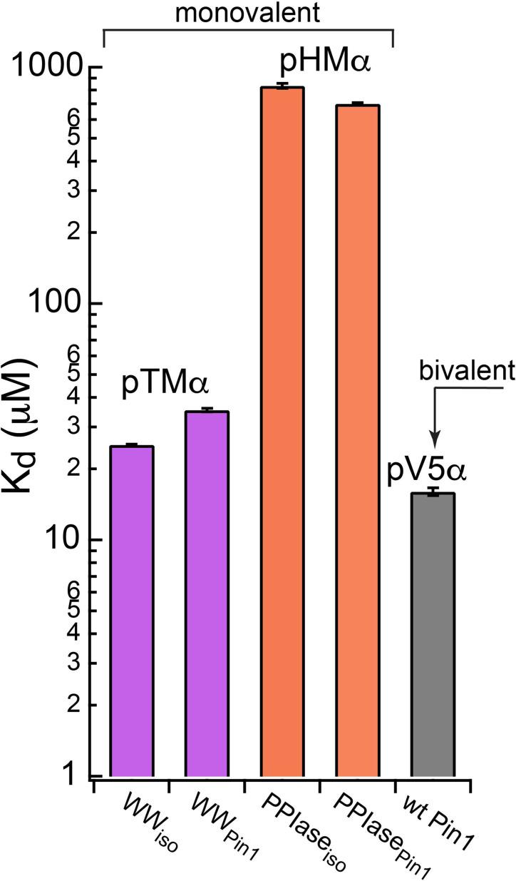 https://cdn.ncbi.nlm.nih.gov/pmc/blobs/24b2/11060717/c489d520601d/elife-92884-fig4-figsupp5.jpg