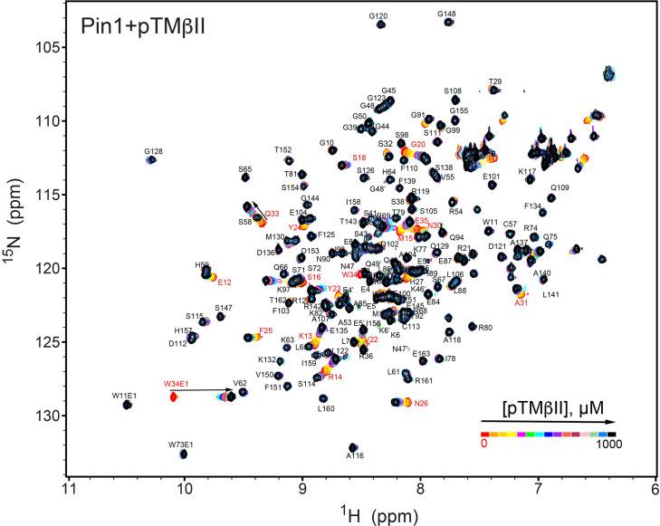 https://cdn.ncbi.nlm.nih.gov/pmc/blobs/24b2/11060717/d519a0b22d17/elife-92884-fig1-figsupp1.jpg