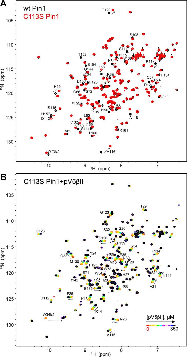 https://cdn.ncbi.nlm.nih.gov/pmc/blobs/24b2/11060717/e28a368f6a3b/elife-92884-fig4-figsupp3.jpg