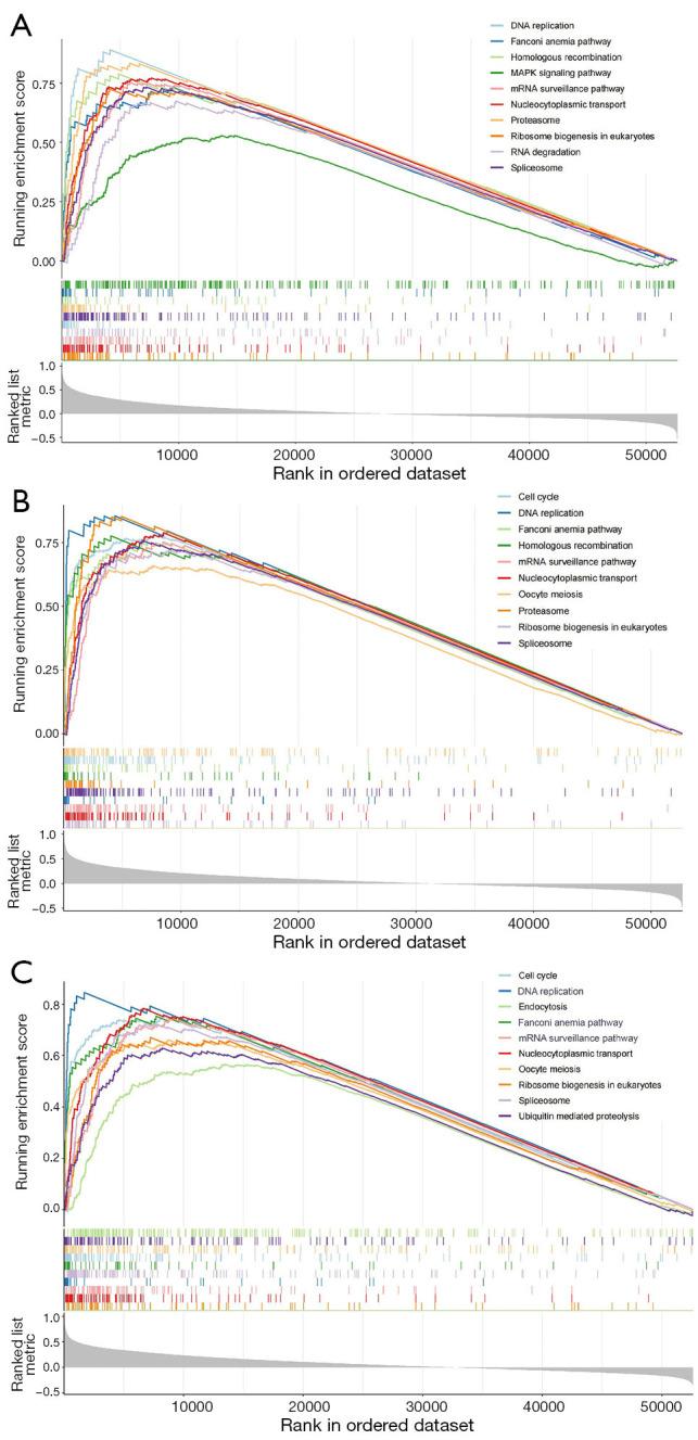 https://cdn.ncbi.nlm.nih.gov/pmc/blobs/24b2/12170061/7acc02858c48/tcr-14-05-2981-f13.jpg