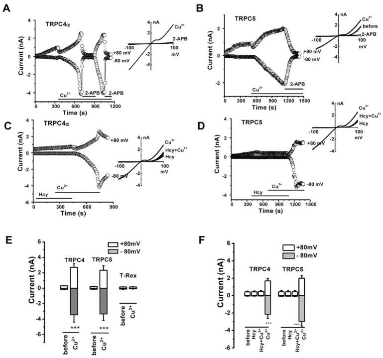 https://cdn.ncbi.nlm.nih.gov/pmc/blobs/24b3/10296383/85eb49063bbe/biomolecules-13-00952-g003.jpg