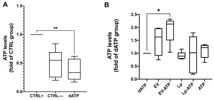 https://cdn.ncbi.nlm.nih.gov/pmc/blobs/24f7/11990007/8b899b7a0b24/ijms-26-03424-g008.jpg