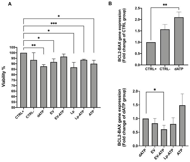 https://cdn.ncbi.nlm.nih.gov/pmc/blobs/24f7/11990007/9906d81cb2e0/ijms-26-03424-g009.jpg