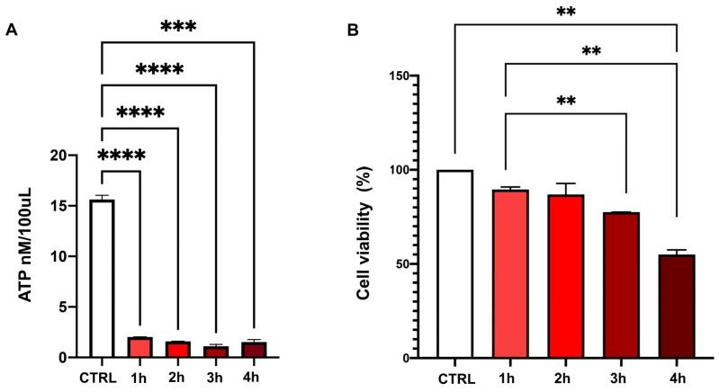 https://cdn.ncbi.nlm.nih.gov/pmc/blobs/24f7/11990007/e2f471c666af/ijms-26-03424-g007.jpg