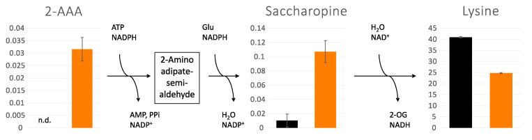https://cdn.ncbi.nlm.nih.gov/pmc/blobs/2512/10000845/535d52d936c5/cells-12-00692-g004.jpg