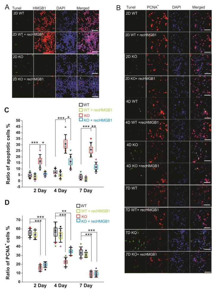 https://cdn.ncbi.nlm.nih.gov/pmc/blobs/2517/7407245/d59dd0f95f4b/cells-09-01714-g003.jpg