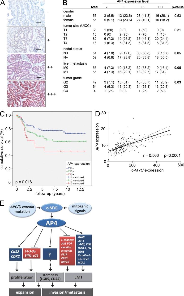https://cdn.ncbi.nlm.nih.gov/pmc/blobs/253f/3698521/72b3f631567a/JEM_20120812_Fig10.jpg