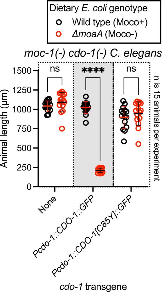https://cdn.ncbi.nlm.nih.gov/pmc/blobs/254e/10942545/d41a47a224ce/elife-89173-fig1-figsupp1.jpg