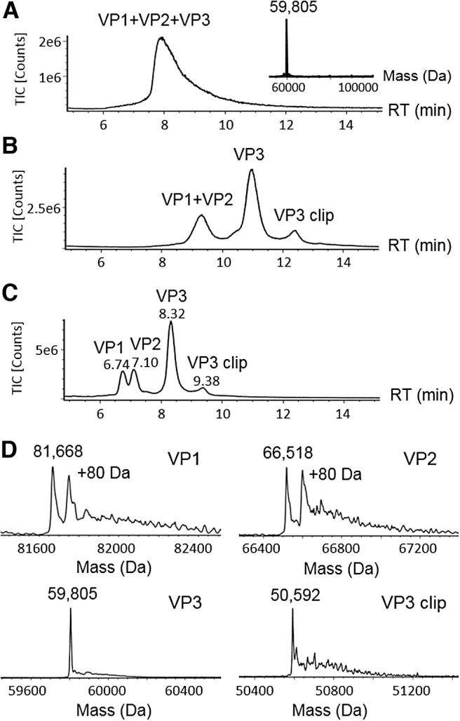 https://cdn.ncbi.nlm.nih.gov/pmc/blobs/2555/8742267/4911f466eb36/hum.2021.046_figure1.jpg