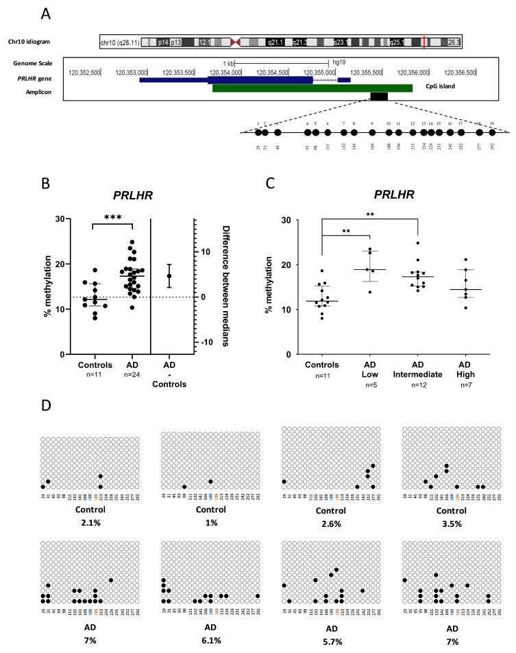 https://cdn.ncbi.nlm.nih.gov/pmc/blobs/2565/10705731/31d27e85a000/cells-12-02679-g001.jpg