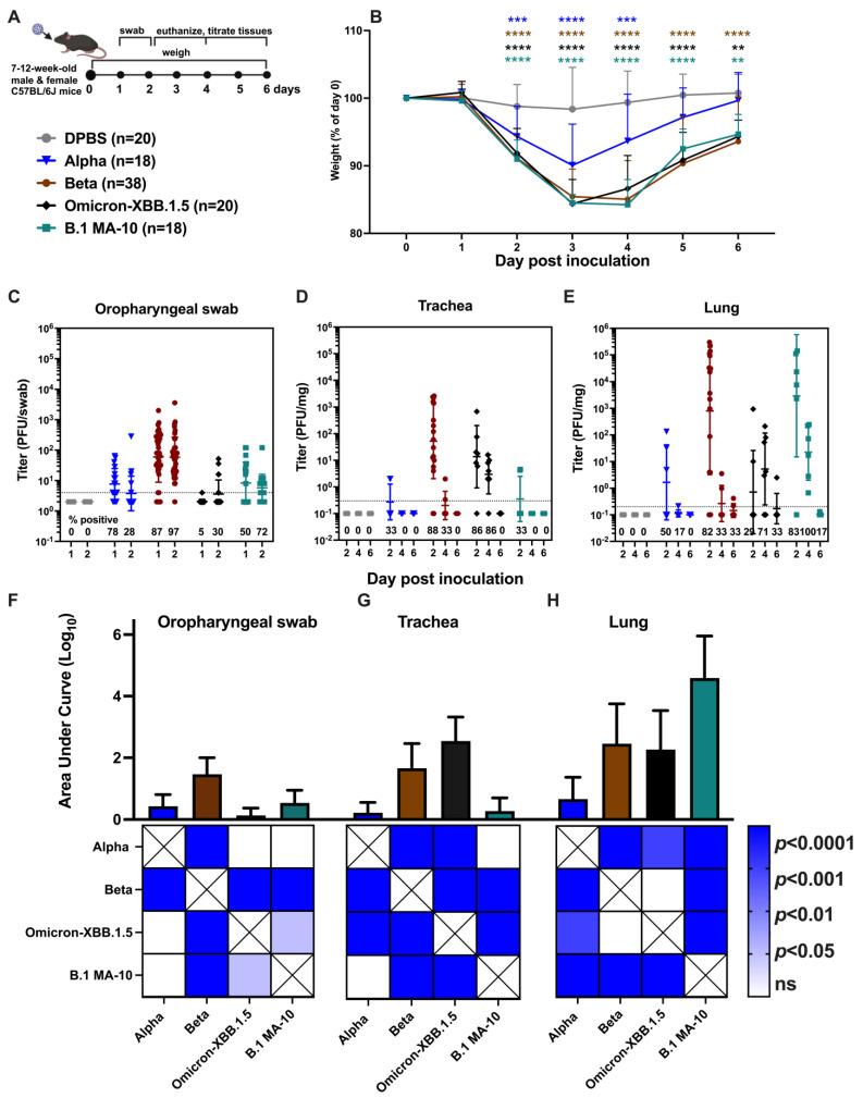 https://cdn.ncbi.nlm.nih.gov/pmc/blobs/2568/12031173/d1024201f0fe/viruses-17-00500-g005.jpg