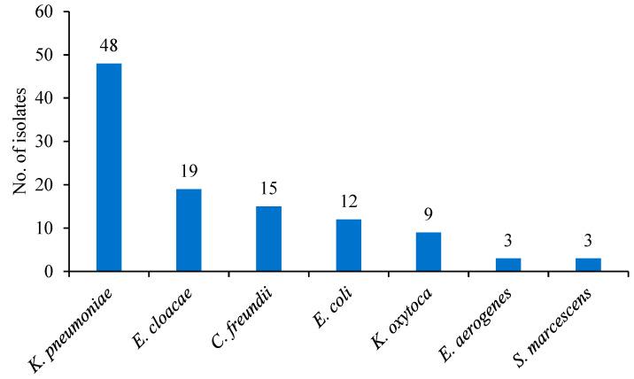 https://cdn.ncbi.nlm.nih.gov/pmc/blobs/2570/10376851/1f65aad7751d/antibiotics-12-01215-g001.jpg