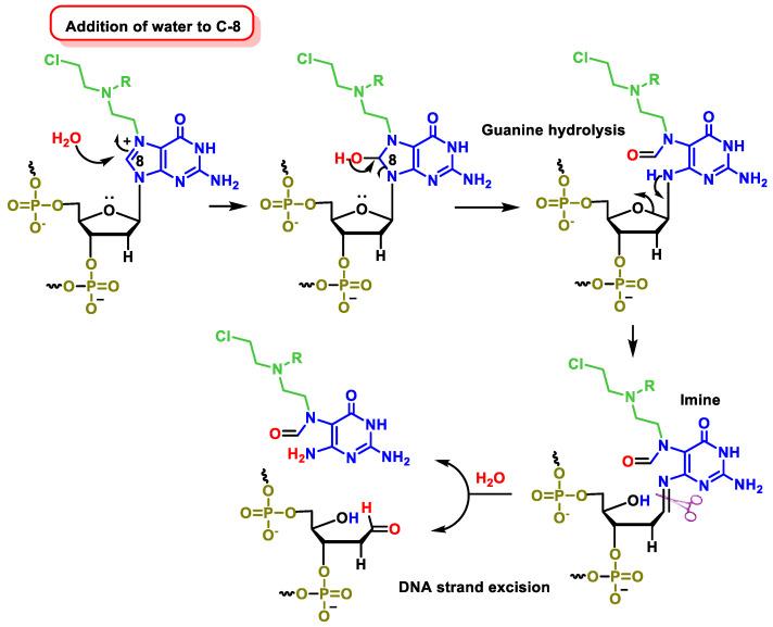 https://cdn.ncbi.nlm.nih.gov/pmc/blobs/2575/11429518/8548a5e8ce46/cancers-16-03123-g025.jpg