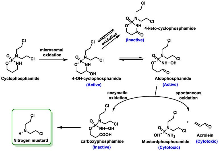https://cdn.ncbi.nlm.nih.gov/pmc/blobs/2575/11429518/d399c9f80941/cancers-16-03123-g010.jpg