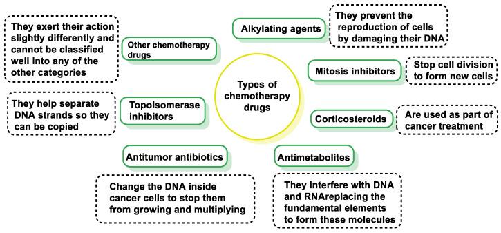 https://cdn.ncbi.nlm.nih.gov/pmc/blobs/2575/11429518/e967c8da097d/cancers-16-03123-g001.jpg