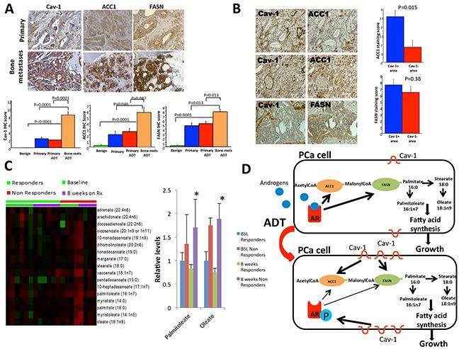 https://cdn.ncbi.nlm.nih.gov/pmc/blobs/257e/5216801/5e6dabf88df7/oncotarget-07-46321-g006.jpg