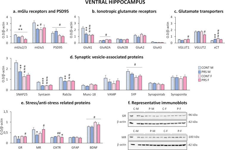 https://cdn.ncbi.nlm.nih.gov/pmc/blobs/25a6/9135938/4e014eeec53e/11357_2021_375_Fig3_HTML.jpg