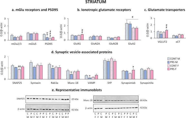 https://cdn.ncbi.nlm.nih.gov/pmc/blobs/25a6/9135938/eef88c91a313/11357_2021_375_Fig6_HTML.jpg