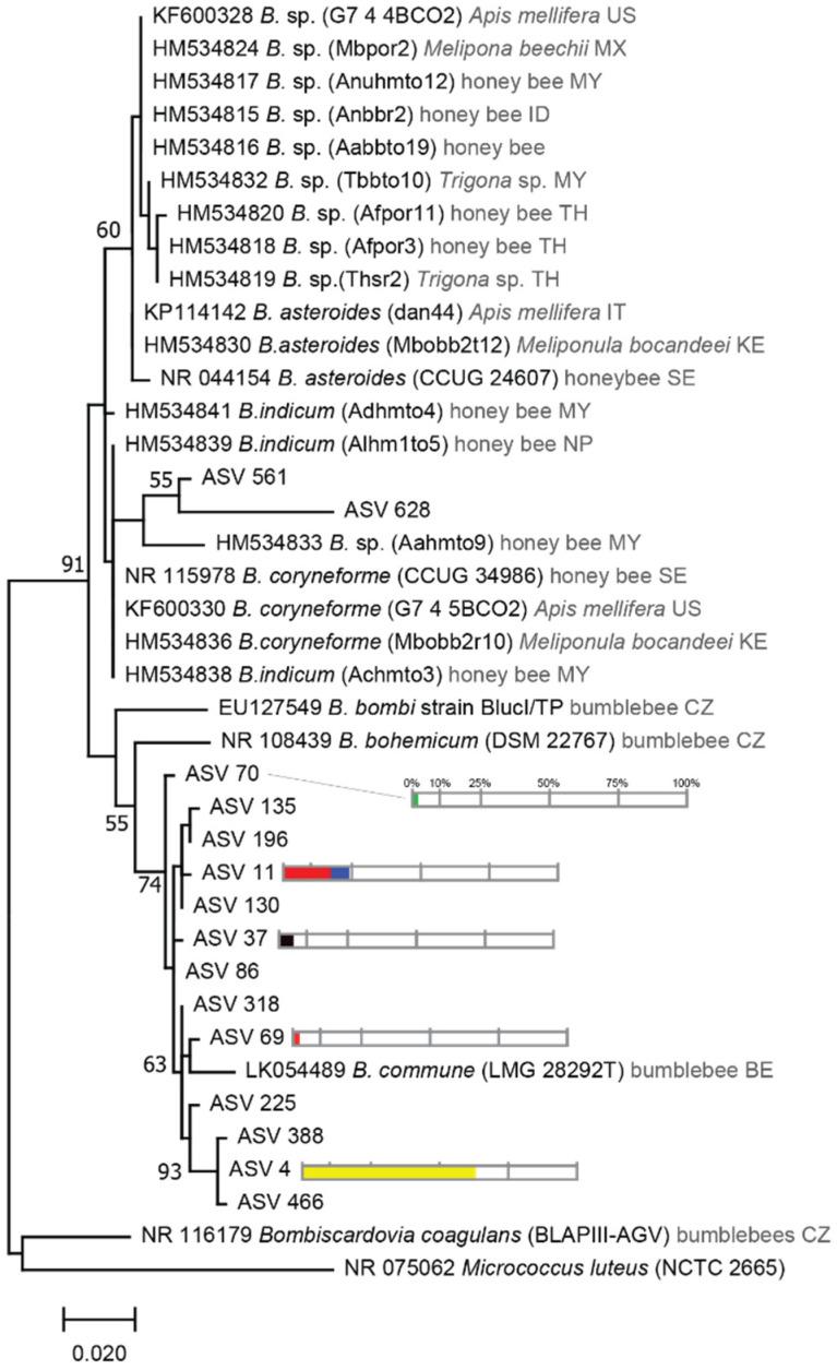 https://cdn.ncbi.nlm.nih.gov/pmc/blobs/25a7/8708602/1159bf120dcb/microorganisms-09-02420-g005.jpg