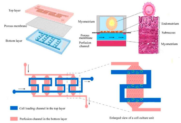 https://cdn.ncbi.nlm.nih.gov/pmc/blobs/25ac/11118005/63f1e49c6010/biosensors-14-00225-g006.jpg