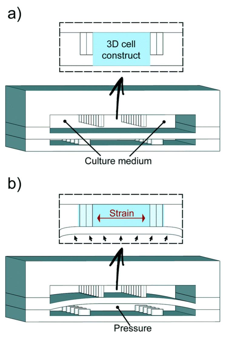 https://cdn.ncbi.nlm.nih.gov/pmc/blobs/25ac/11118005/c0146d0f58d2/biosensors-14-00225-g003.jpg