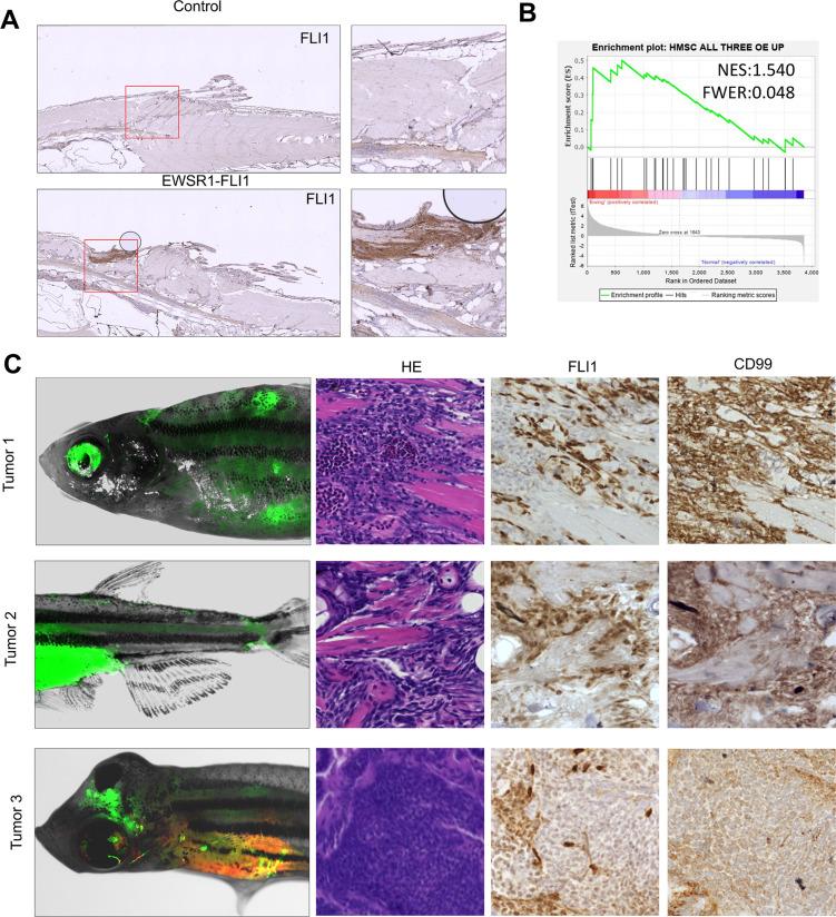 https://cdn.ncbi.nlm.nih.gov/pmc/blobs/25b9/8942468/589161ab9412/elife-69734-fig2-figsupp1.jpg