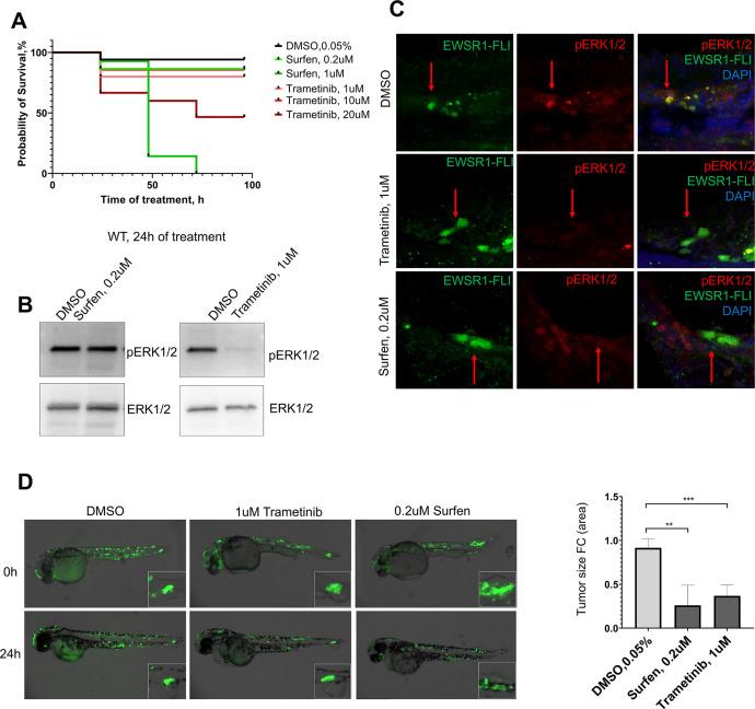 https://cdn.ncbi.nlm.nih.gov/pmc/blobs/25b9/8942468/7506a0d32cf7/elife-69734-fig7-figsupp1.jpg