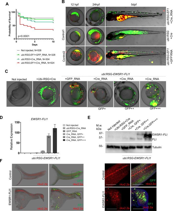 https://cdn.ncbi.nlm.nih.gov/pmc/blobs/25b9/8942468/a1646f27136d/elife-69734-fig3.jpg