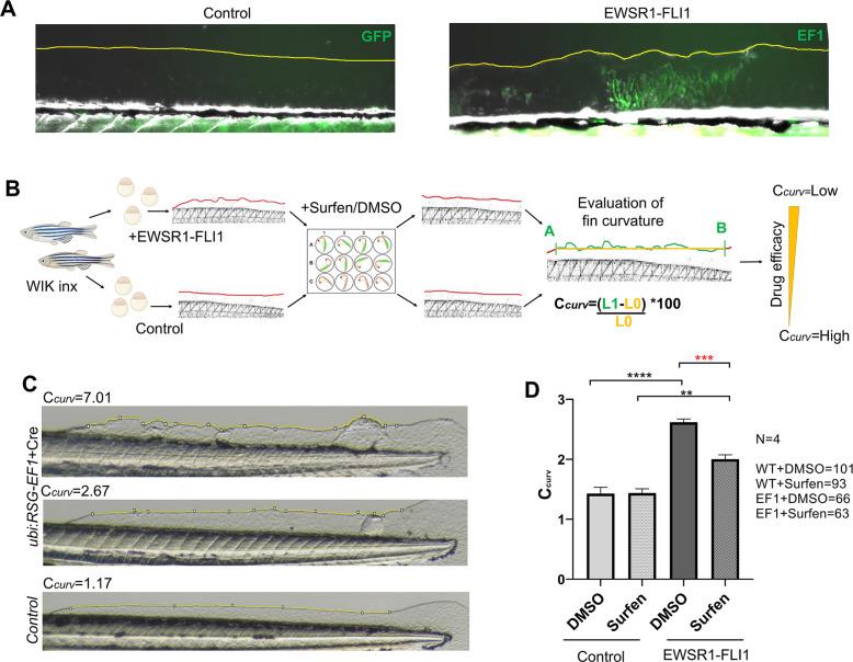 https://cdn.ncbi.nlm.nih.gov/pmc/blobs/25b9/8942468/a89ce7588584/elife-69734-fig7-figsupp2.jpg