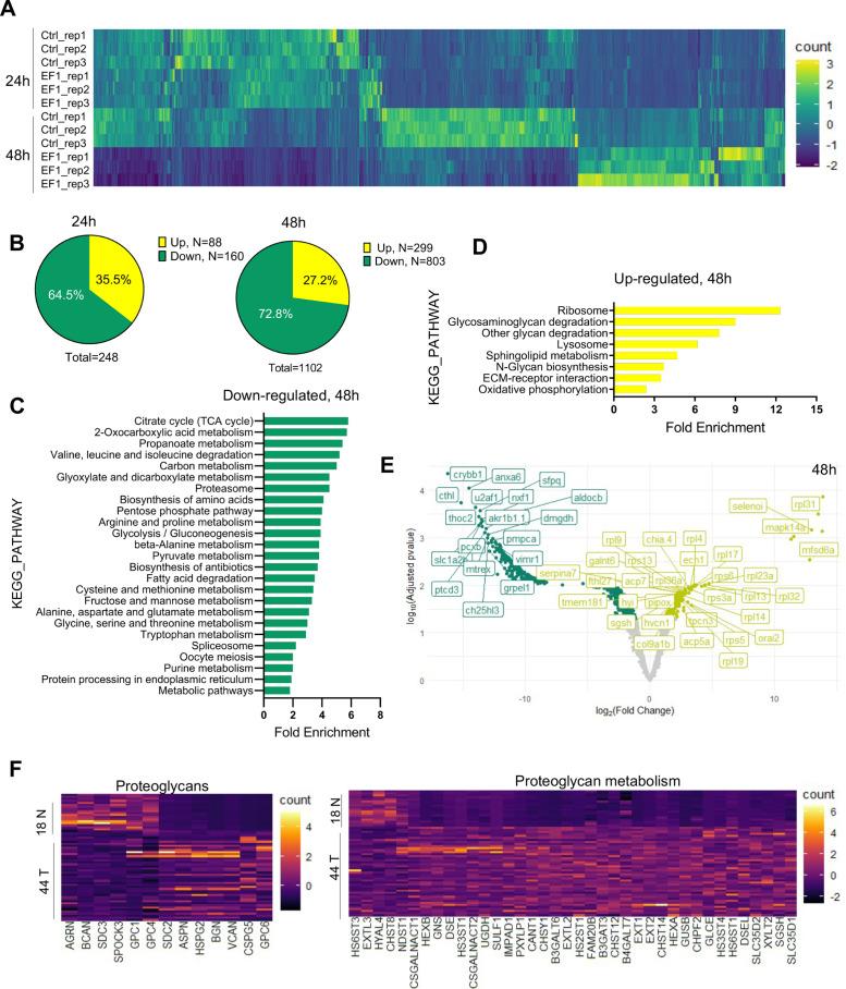 https://cdn.ncbi.nlm.nih.gov/pmc/blobs/25b9/8942468/c575b8b2af2c/elife-69734-fig5.jpg