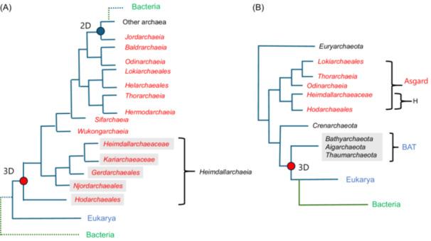 https://cdn.ncbi.nlm.nih.gov/pmc/blobs/25dd/12395588/87c556e16d97/MLF2-4-345-g006.jpg